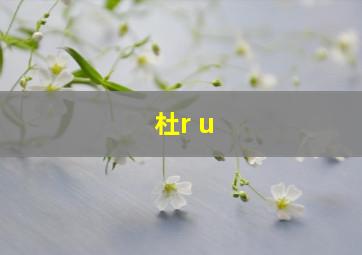 杜r u